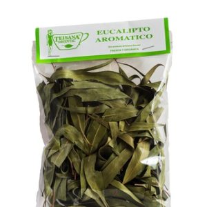 EUCALIPTO TEISANA