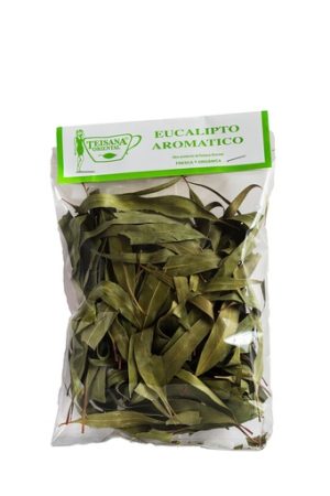 EUCALIPTO TEISANA