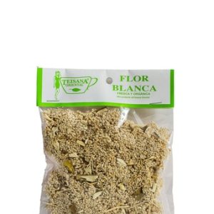 FLOR BLANCA TEISANA